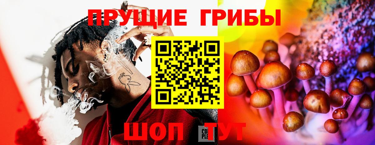 сколько стоит  Галлюциногенные грибы Cubensis  Вход с VPN  Новоуральск 